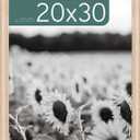 MCS Studio Gallery Classic 20x30 Poster Frame Natural Woodgrain, Vertical & Horizontal Wall Hanging Large Picture Frame for Photos, Posters & Art Prints (1-Pack) (20X30 - Classic)