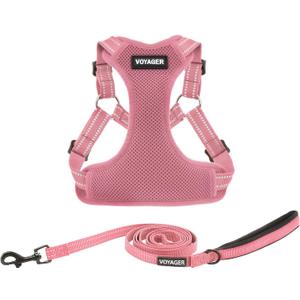 Best Pet Supplies Voyager Adjustable Step-in Flex Breathable Mesh Dog Harness for Small, Medium Large Dogs Leash Set (Pink), XL