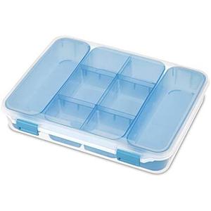 STERILITE Divided Case, Multicolor