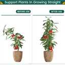 PROWORX 24 Inch 2 Ft Plant Support Garden Stakes 25 PCS, Sturdy Steel Plastic Coated Sticks for Outdoor Growing Climbing, Tomato, Trees, Cucumber, Beans