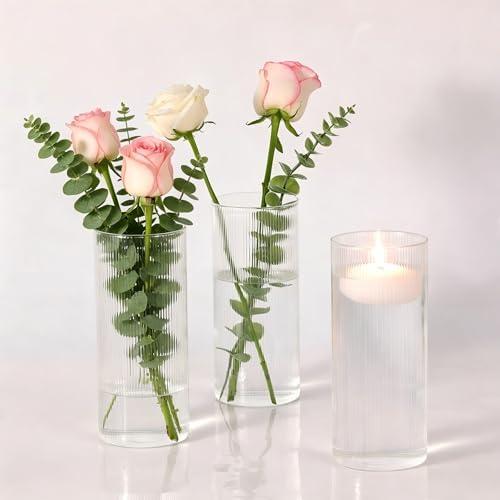 Glass Ribbed Cylinder Vases Pack of 2, 8 Inch Tall Clear Flower Vases in Bulk, Hurricane Floating Candle Vases for Party Home Decor