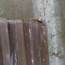 Art3d Slat Wood Wall Paneling for Interior and Ceiling Decoration - Pack of 4pcs + 1pc End-Trim, Size 108 x 5.7in.- Walnut