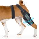 Dog Knee Brace, Torn ACL Hind Leg Support, Rear Stability for CCL Injury Recovery & Hip Dysplasia, Adjustable Joint Wrap for Small Medium Large Pets(Left, S)