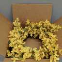 20 Inch Spring Wreath for Front Door, Yellow Forsythia Spring Wreath for Farmhouse Rustic Grapevine Blossom Cluster Festival Celebration Front Door Wall Window Party Decoration Home Dcor