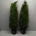 3FT Artificial Topiary Tree Realistic Faux Cedar Pines Christmas Trees UV Rated Fake Shrubs for Front Porch Faux Plants Indoor and Outdoor Decor (2 Pack)