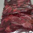 16 Pcs 9.8in Christmas Poinsettia Decorations Artificial Velvet Flowers Christmas Glitter Poinsettia Flower Picks with Stems for Xmas Tree Ornament DIY Wreath Xmas Party Supplies (Red)