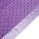 Pro Goleem Baby Soft Minky Dot Blanket with Silky Satin Backing Baby Gifts for Boys and Girls (Purple, 30 x 40)