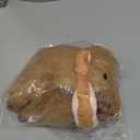 Capybara Plush Cute Capybara Stuffed Animal Kawaii Plush with Wearable Toast Headgear Bread Capybara Gifts Cute Plush Pillow Valentines Day Gifts for Kids Boys Girls 9 Inch