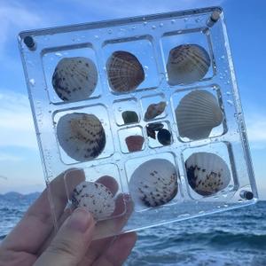Acrylic Shadow Boxes Magnetic Seashell Display Box, Mini Seashell Collection Box with Clear Stand, Transparent Decorative Organizer for Seashell, Starfish Trinket, Small Craft, Nail and Jewelry 