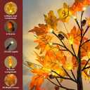 2 Pack 24 Inch Prelit Fall Maple Tree Decorations with 48 LEDs Timer Fall Battery Operated Lighted Artificial Pumpkin Acorn Light Up Maple Tree for Thanksgiving Harvest Table Home Indoor Decor (Classic Style 3)