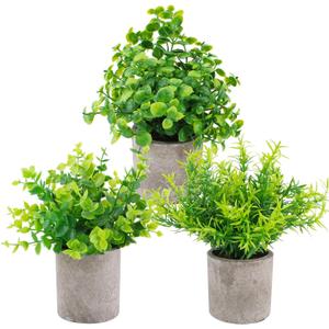 3 Pack Artificial Potted Plants Eucalyptus, Boxwood and Rosemary Plants, Mini Fake Greenery for Office Wedding Tabletop Farmhouse Home Decor
