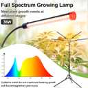 FRGROW 4Head Grow Light with Stand for Tall Indoor Plants, Bonsai Tree, Bright Full Spectrum Plant Growing Lamps, 4/8/12/16/20H Timer, 36 Watt Power Draw, NO Need Adapter, 360 Gooseneck