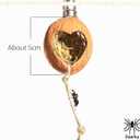 Jumping Spider Hide, A Real Shelter Made of Walnut Skin, Magnetic Hidden Jumping Spider Habitat,Handmade Spider Enclosure Accessories, Jumping Spider Enclosure  Pack of 2
