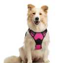rabbitgoo Dog Harness No Pull with 2 Leash Clips, Adjustable Soft Padded, Reflective Oxford No Choke Pet Vest with Easy Control Handle for Large Dogs, Hot Pink, L