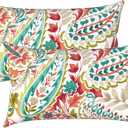 LVTXIII 1220 Inch Outdoor Lumbar Pillows, Pack of 2 Water Repellent Lumbar Pillow with Inserts, Fluffy Decorative Garden Lumbar Cushions for Home Patio Coach Sofa Use, Pretty Paisley
