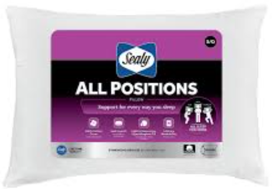 Queen Size Pillow 20x28