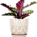 Gepege 8 Inch Plant Pot, Creamy White Ceramic Planter with Drainage Holes and Saucers for Plants Indoor and Outdoor Flower Pot