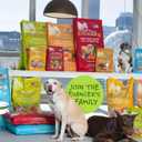 Evanger's Grain Free Chicken with Sweet Potato & Pumpkin Dry Food for Dogs  16.5 lb Bag  Deboned Chicken, Omegas 3 & 6, Probiotics  All Life Stages Formula (EXP 02/11/27)