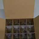 HIZASHI Candelabra Bulb Series E12  LED 12