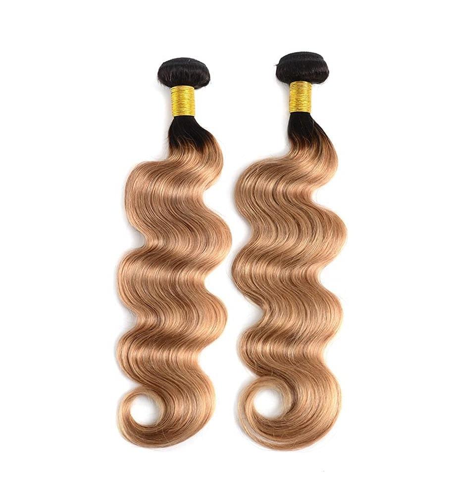  Human Hair 2 Bundles Ombre Blonde Body Wave Bundles 2 Tone Black and Honey Blonde 100% Virgin Human Hair Brazilian Weave Remy Hair for Women(T1B/27#)