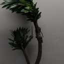 LIGHTSHARE 24Inch Twins Palm Tree Bonsai 25LED Lights,Green Light,Battery Powered or Plug-in Adapter (Included), Built-in Timer