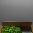 21" Artificial Ferns Plants Topiary - 2 Set for Front Porch Decoration,Fake Boston Fern Potted Plants Faux Greenery Bush UV Resistant for Outdoor Indoor Door Garden Farmhouse Home Decor (Green)