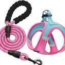 haapaw Dog Harness with Leash Set, No Pull Adjustable Reflective Step-in Puppy Harness with Thickened Padded Vest for Extra-Small/Small Medium Dogs (Blue / Pink)