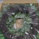 26" Large Eucalyptus Wreath for Front Door Spring Summer Greenery All Season Green Year Round Artificial Eucalyptus Leaves Wreath for Porch Farmhouse Home Wall Window Outdoor Indoor Decorations