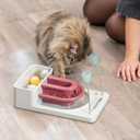 TRIXIE Cat Activity Fantasy Board Strategy Game 4-Module Puzzle Toy for Mental Stimulation Interactive Cat Toy for Indoor Cats Berry/Gray, 8.25 x 13.25 x 4 in