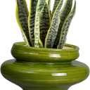 Ceramic Planters for Indoor Plants 11 Inch - Bonsai Plant Pots Outdoor, Large Planters for Indoor Plants, Green Planter with Drainage Hole, Flower Pot for Garden Decor, Gift for Women Men