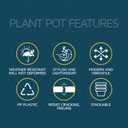 Lifemaster Eco Friendly Plant Pot Set - 10-Pack Home Decor Flower Indoor and Outdoor Plastic Pots with Drainage Holes, Assorted Sizes (7", 6.6", 6", 5.3", 4.8") - Stackable Garden Versatile Planters (White)