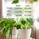 Plant Pots, Flower Pots, Planters for Indoor Plants(6.5+5.5inch), Flower Pots for Indoor Plant with Drainage Hole and Saucer, Ceramic Pots for Plants with Hole Mesh Pad,Reactive Glaze White