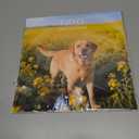 2026 Calendar, Wall Calendar 2026, Dogs 12 Month Wall Calendars (Jan - Dec 2026) 12" x 24" Opened, Hanging Monthly Calendar Thick Paper for Kids Family Adults Office Home