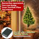 2FT Wall Hanging Christmas Tree with Led Lights, Pre lit Norfolk Pine Artificial Flat Wall Christmas Tree for Apartment, Cat Owners Xmas Decor