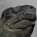 Deco 79 Resin Turtle Indoor Outdoor Garden Sculpture Distressed Textured Small Planter Pot with Patterned Shell, Planter 14" x 24" x 13", Brown