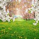 AOFOTO 10x10ft Spring Scenic Backdrop Sweet Flowers Photography Background Meadow Floral Blossoms Garden Florets Grassland Park Trees Kid Baby Portrait Photo Shoot Studio Props Video Wallpaper Drape