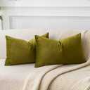 JUSPURBET Olive Green Decorative Lumbar Velvet Throw Pillow Covers 12x20,Pack of 2 Luxury Soft Solid Cushion Cases for Sofa Couch Bed 