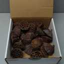 Dried Lotus Pods Pack of 25 Pods for Floral Arrangement and Home Decor,Natural Seed Heads for Vase Fillers, Dried Flower Centerpieces