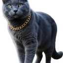 Gold Cat Chain Collar,Adjustable Cuban Link Necklace for Cats, Lightweight & Durable Metal Pet Gift, Stylish Decorative Accessory (Gold, M)