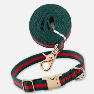 Stylish and Elegant Dog Collar, Adjustable Metal Belt Buckle, Durable