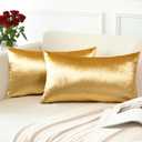 OTOSTAR Pack of 2 Velvet Soft Solid Decorative Throw Pillow Covers 16 x 24 Inch Pillow Covers Lumbar Cushion Case Couch Pillowcases for Sofa Bed Home Decor (Gold)