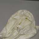 Vanity Fair Women's Underwear Perfectly Yours Traditional Cotton Brief Panties (6, Nylon - Pink/Blue/Candleglow)