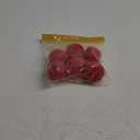 Terro Fruit Fly Traps for Indoors (Pack of 6) + 270 Days of Lure Supply