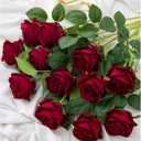 Hawesome 12PCS Artificial Flowers Fake Roses, Realistic Velvet Long Stem Red Roses Bouquet for Wedding Centerpiece Home Decor Party & Valentines (Wine)