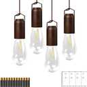 LED Camping Lantern,Rechargeable Retro Metal Camp Light,Battery Powered Hanging Vintage Lamp ,Portable Waterpoor Outdoor Tent Bulb, Emergency Lighting for Power Failure,Outages (8.7 INCH 4 PACKS AAA battery)