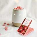 STRN Wax Melts, Lavender & Linen, Scented Soy Wax Cubes for Wax Warmers, Spring & Summer Scented Long-Lasting Home Fragrance Wax for Bedroom, Living Room, Office- 8 Packs