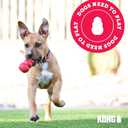 KONG Flyer - Durable Dog Toy for Outdoor Playtime - Natural Rubber Flying Disc, Dog Toy for Fetch - Safer Disc for Healthy Activity - for Medium/Large Dogs