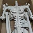 36" Halloween Skeleton Decorations, Human Bones for Halloween Party with Movable Joints, for Haunted Houses, Front Lawn, Graveyard Props