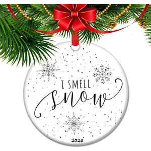 I Smell Snow Christmas Ornament, Winter Festival Xmas Tree Dorm Room Present Decor Gift (C1)