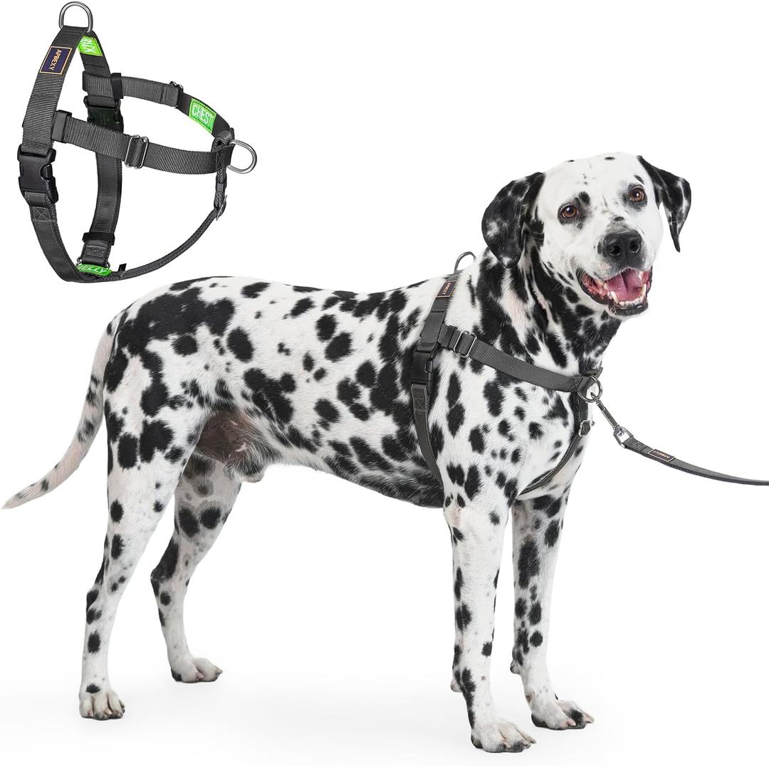 Freedom No Pull Dog Harness for Dogs, Easy Walker, Front Clip, Anti Pull with Two Stainless D-Rings, Comfortable, Sewn-in Instructions Tags for Easy Use (Black, XXL)